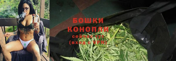 стаф Нефтекумск