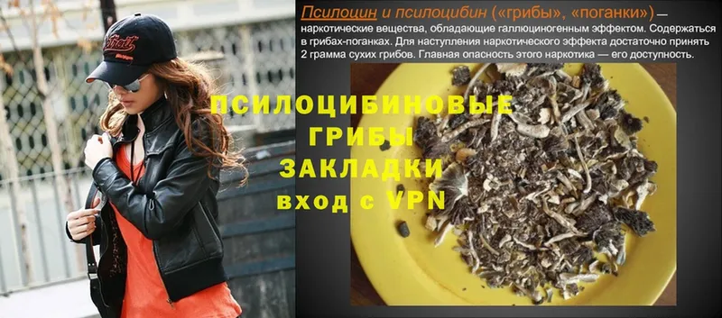 omg маркетплейс  Братск  Галлюциногенные грибы MAGIC MUSHROOMS  купить  