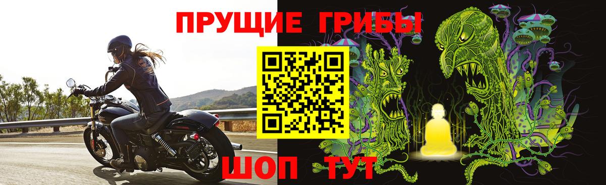 Псилоцибиновые грибы Cubensis Братск