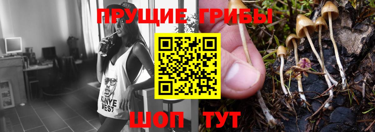 Галлюциногенные грибы Magic Shrooms  Братск 